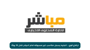 ارتفاع قوي.. الجنيه يسجل مكاسب غير مسبوقة أمام الدولار خلال 18 يومًا